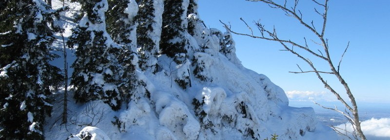 Les randonnées raquettes à neige
